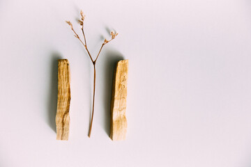 Natural incense White Sage and Palo Santo. Sacred tree of South America, color square photo.White...
