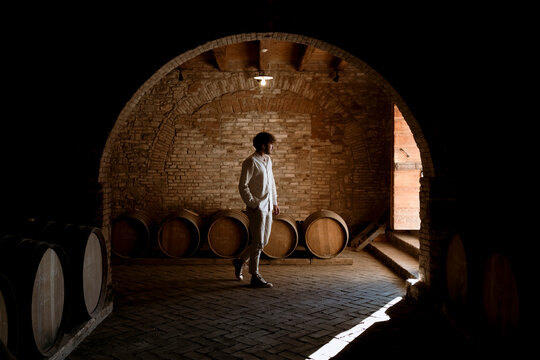 Young winemaker inside his winery in the countryside