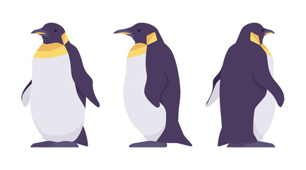 Penguin set, cute large aquatic flightless seabird with yellow neck. Water life, ornithology, birdwatching concept. Vector flat style cartoon illustration isolated, white background, different views