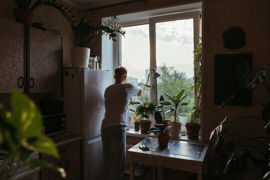 A man takes care of indoor plants.