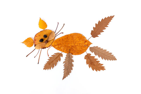 abstract herbarium children autumn decoration, colorful kids leaf craft