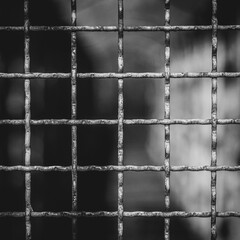 Prisonnier derrière une grille