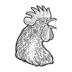 crowing cock rooster head sketch engraving vector illustration. T-shirt apparel print design. Scratch board imitation. Black and white hand drawn image.