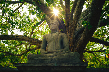 buddha statue at Abhayagiri Dagoba stupa in Anuradhapura, Sri Lanka - Powered by Adobe