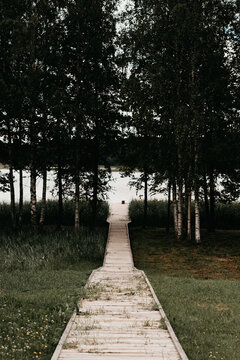 jetty in the woods with a lake