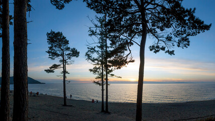 Russia, Goryachinsk. Sunset on the shore of a sandy beach near Lake Baikal. The pine tree shines through the pine trees