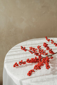 red ball plant