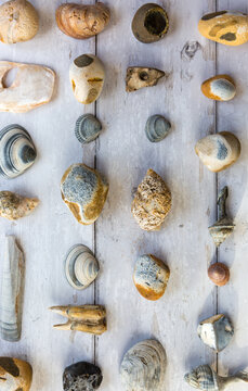 Blue themed beach pebbles and stones