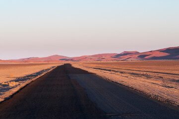 Fototapeta na wymiar Road in the Namib Desert / Straight road in the Namib desert to the horizon, Namibia, Africa.