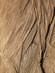 textured Wood floors with traces of saw blades that create rough surfaces.