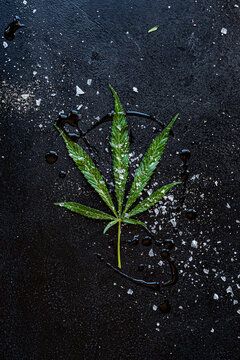Cannabis leaf with salt, pepper and oil