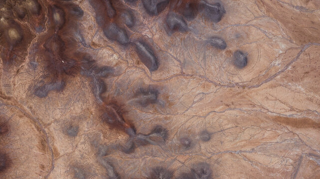 dots and veins