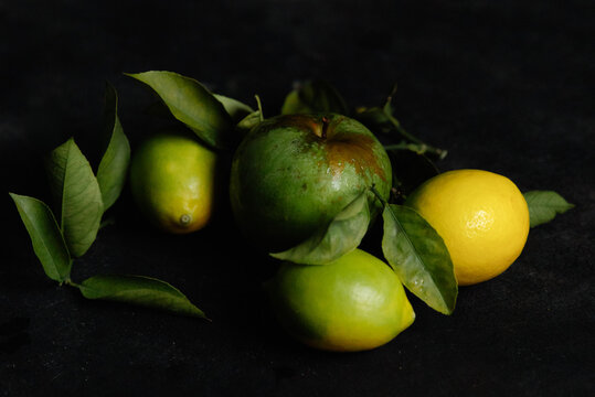 dark fruit still life