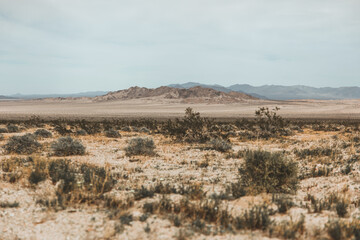 mountains in the desert