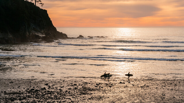 A Trio of Surfers Walking Towards to Water