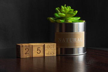 October 25. Image of the calendar October 25 wooden cubes and an artificial plant on a brown wooden table reflection and black background. with empty space for text