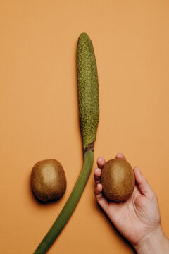 organic sex toy