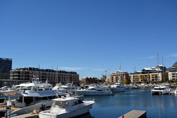 Yachts in the marina in Waterfront in Cape Town