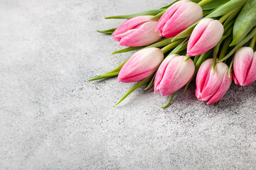 Fresh pink tulips on gray stone surface