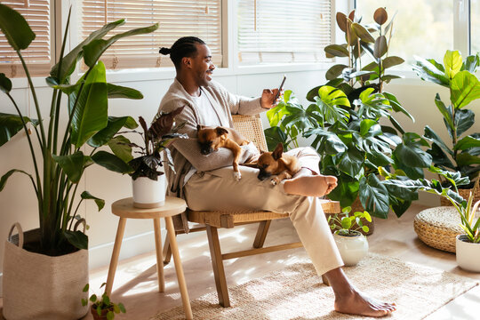 Delighted black man with dogs browsing smartphone near plants