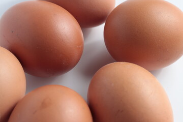 close up chicken eggs isolated in white background