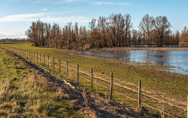 Obraz premium Fence of wooden posts and barbed wire diagonally in the foreground of a flooded land. The photo was taken at the end of the winter season in the Dutch province of Gelderland.