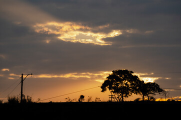 sunset on the field