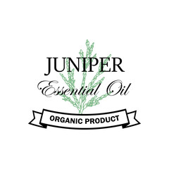 Juniper essential oil logo with hand drawn element isolated on white background. Vector illustration in vintage style