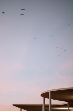 Detalle de techado con cielo lleno de gaviotas