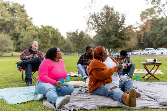 Friends At An Outdoor Movie At A Park