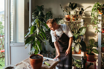 A man replunting indoor plants at home.
