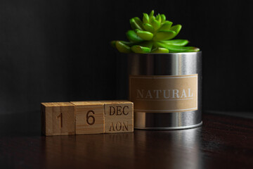 December 16. Image of the calendar December 16wooden cubes and an artificial plant on a brown wooden table reflection and black background. with empty space for text