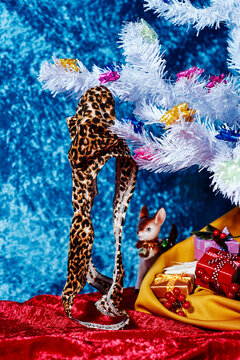 leopard thong on a christmas tree