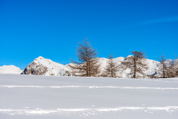 Mountain range of the Monte Carega in winter with snow, called Small Dolomites (Piccole Dolomiti) from the Lessinia Plateau (Altopiano della Lessinia). Veneto and Trentino Alto Adige, Italy, Europe.
