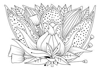 Obraz premium Coloring page for children and adults. Linear art. Floral black and white background for coloring.