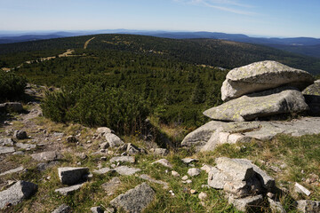 Giant Mountains landscape with rocks and forest, popular summer hiking destination, Karkonozse National Park, Poland