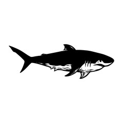 shark fish illustration draw silhouette