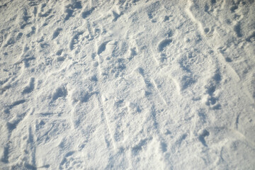 traces of bicycles and sleds in winter snow