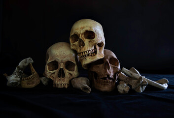 Pile of old skulls and Jaws put on the black cloth and dark background