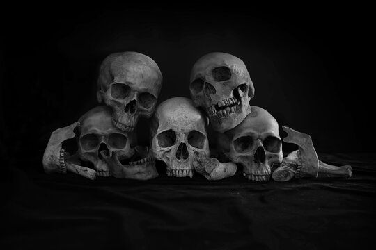 Pile of old skulls and Jaws put on the black cloth and dark background