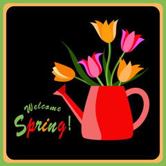 Welcome spring, tulips in a watercan.