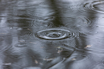 
raindrops in a puddle