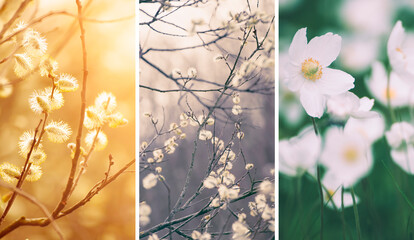 Set of spring wallpapers