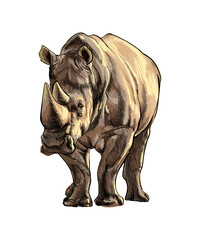 Rhinoceros from a splash of watercolor, colored drawing, realistic. Vector illustration of paints