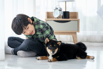 A boy is playing with a Shiba Inu in a bedroom in an apartment.