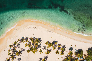 Tropical carribbean beach