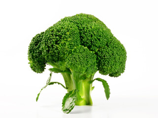 Fresh Vegetables - Boiled Broccoli on white Background Isolated