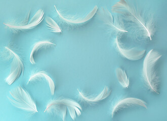 Fototapeta na wymiar Delicate fluffy feathers on pastel blue background. Tender frame for your text