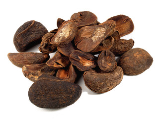 Dried Cola Nuts on white Background Isolated