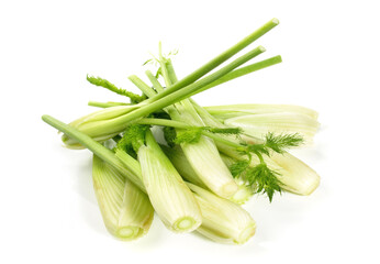 Fresh Vegetables - Young Fennel on white Background Isolated